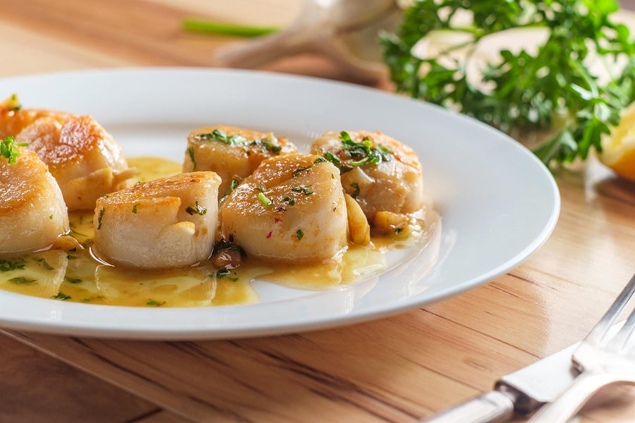 Pan Fried Scallops in a Fennel, Butter and White Wine Sauce